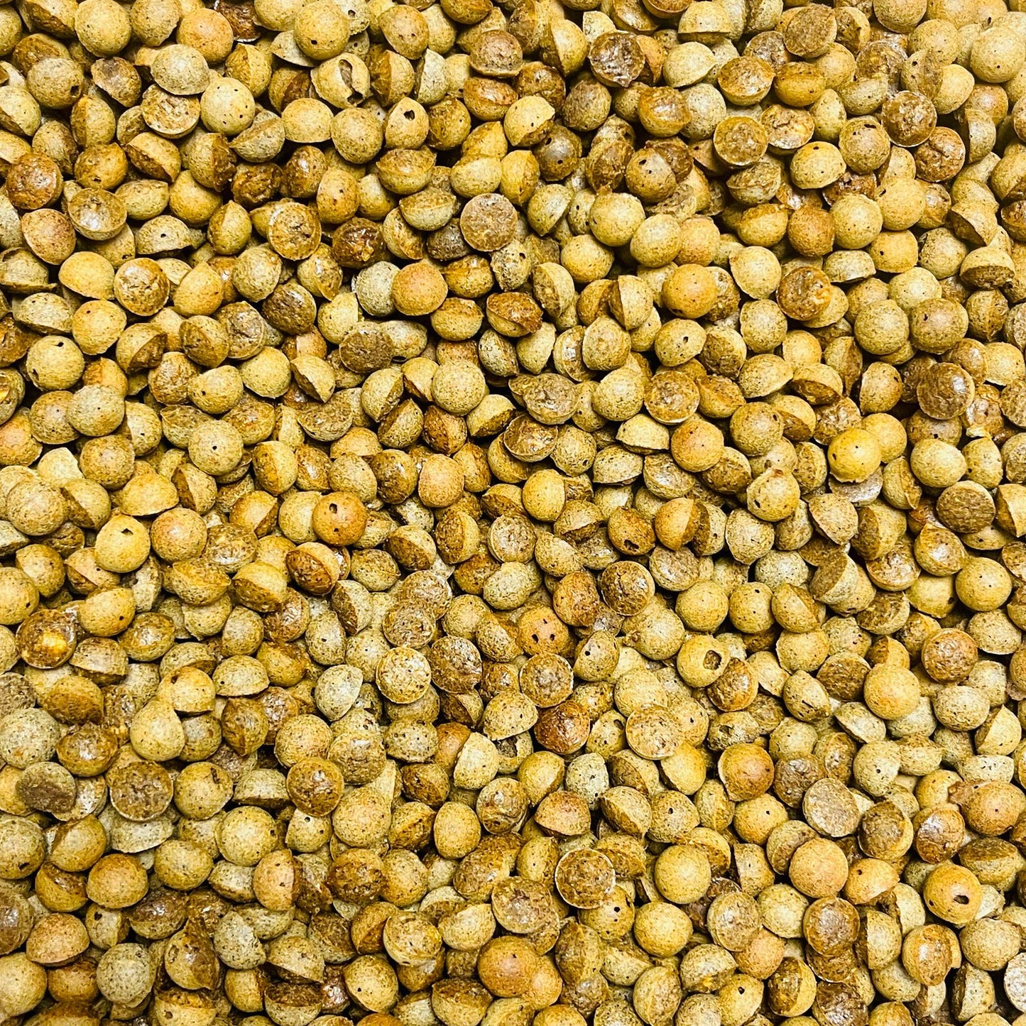 Premios naturales para gato / Delicia de Salmón