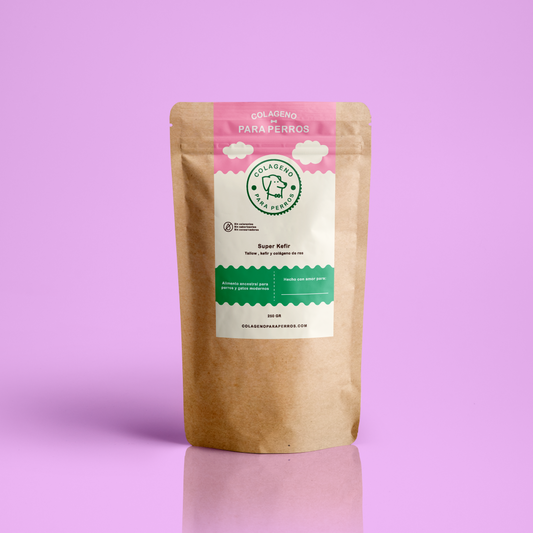 Super Probióticos: Leche de Búlgaros (kefir) para Salud Digestiva