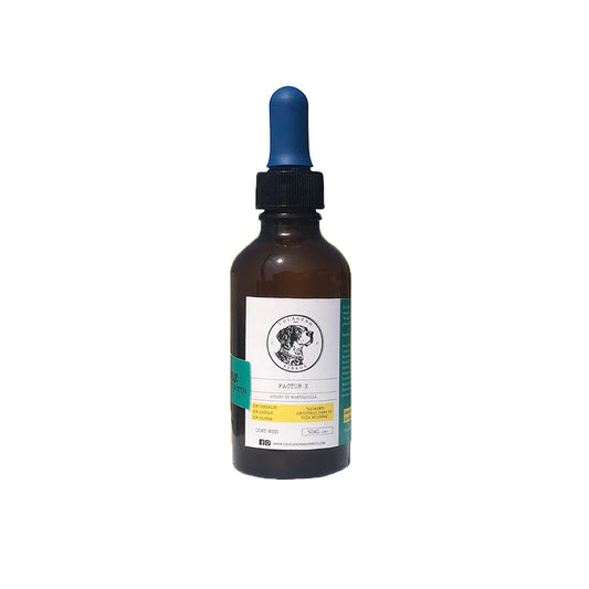 Factor X: Potencia el Desarrollo y la Salud.