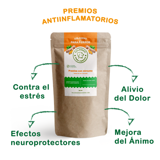 Premios con Cúrcuma: Apoyo Natural para el Bienestar Emocional y Físico de tu Perro