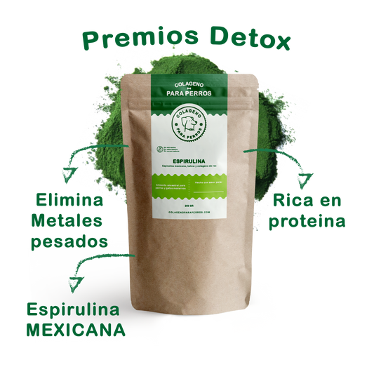 Premios con Espirulina: Un Detox Natural.